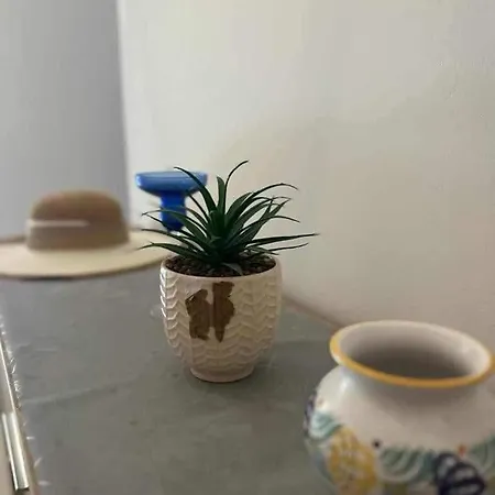 דירה Residencia Blanca *